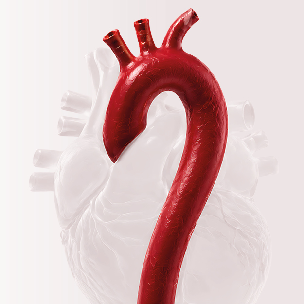Heritable and Sporadic Thoracic Aortic Disease: Recognition, Genetic Evaluation, and Medical Management Banner
